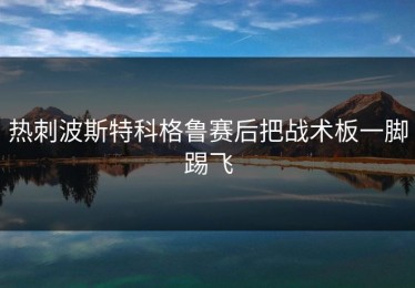 热刺波斯特科格鲁赛后把战术板一脚踢飞