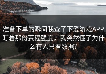 准备下单的瞬间我查了下爱游戏APP盯着那份赛程强度，我突然懂了为什么有人只看数据？