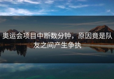 奥运会项目中断数分钟，原因竟是队友之间产生争执