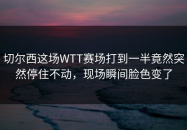 切尔西这场WTT赛场打到一半竟然突然停住不动，现场瞬间脸色变了