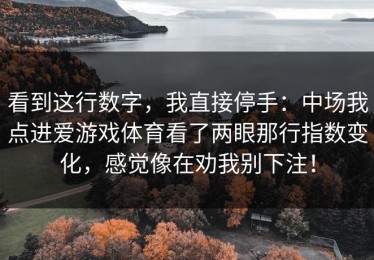 看到这行数字，我直接停手：中场我点进爱游戏体育看了两眼那行指数变化，感觉像在劝我别下注！
