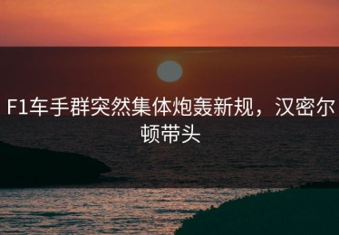 F1车手群突然集体炮轰新规，汉密尔顿带头