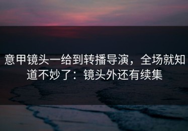 意甲镜头一给到转播导演，全场就知道不妙了：镜头外还有续集