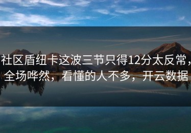 社区盾纽卡这波三节只得12分太反常，全场哗然，看懂的人不多，开云数据