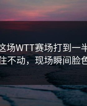 切尔西这场WTT赛场打到一半竟然突然停住不动，现场瞬间脸色变了