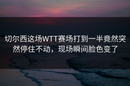 切尔西这场WTT赛场打到一半竟然突然停住不动，现场瞬间脸色变了