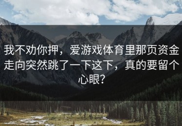 我不劝你押，爱游戏体育里那页资金走向突然跳了一下这下，真的要留个心眼？