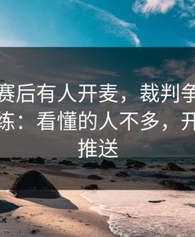水晶宫赛后有人开麦，裁判争论直指体能教练：看懂的人不多，开云体育推送