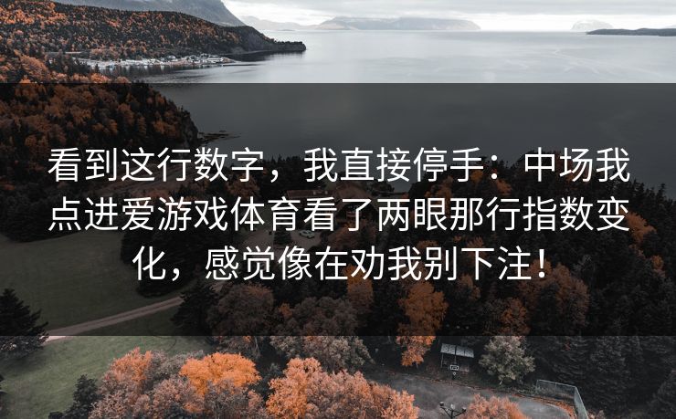 看到这行数字，我直接停手：中场我点进爱游戏体育看了两眼那行指数变化，感觉像在劝我别下注！