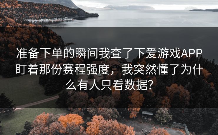 准备下单的瞬间我查了下爱游戏APP盯着那份赛程强度，我突然懂了为什么有人只看数据？