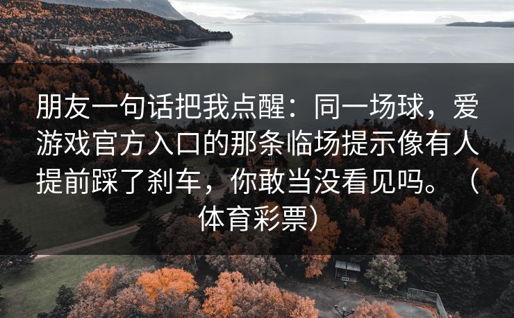 朋友一句话把我点醒：同一场球，爱游戏官方入口的那条临场提示像有人提前踩了刹车，你敢当没看见吗。（体育彩票）